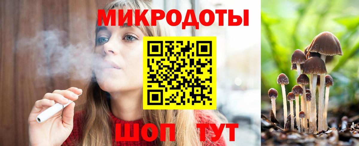 Псилоцибиновые грибы Psilocybe  Псилоцибиновые грибы прущие грибы  Вход с VPN  Лабытнанги 